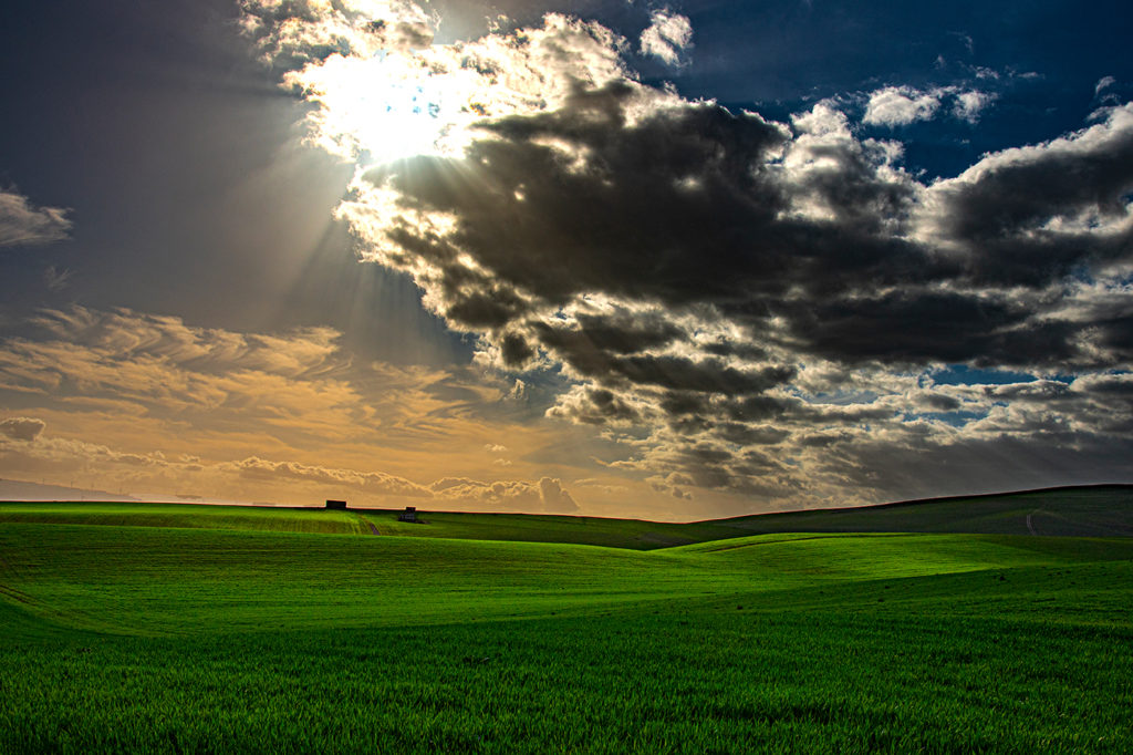 Raggi di luce