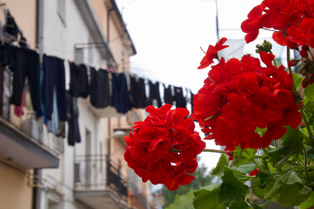 Rosso porpora