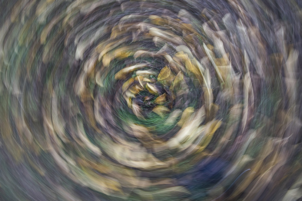 Il vortice