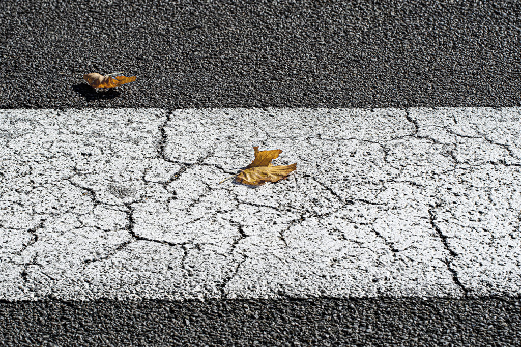 Lasciare attraversare l'autunno