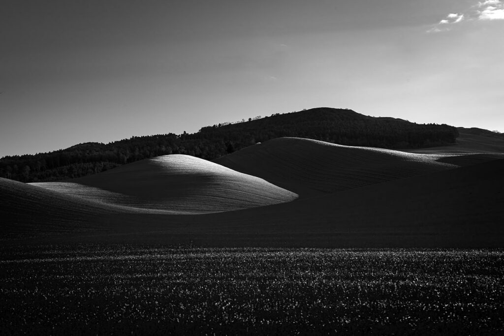 Sinuosità collinare